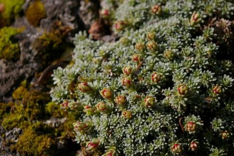 NeumeierWinter-08--6-