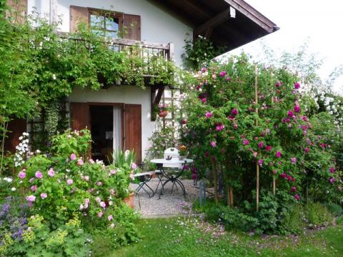 PittnerAnf-Juni--11-