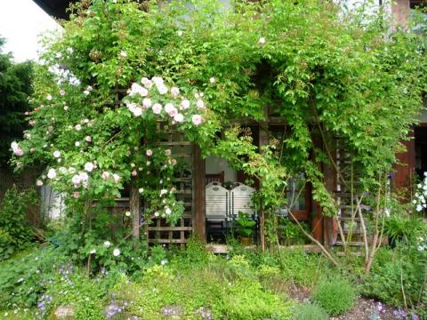 PittnerAnf-Juni--14-