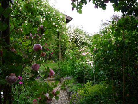 PittnerAnf-Juni--20-