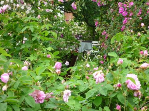 PittnerAnf-Juni--24-