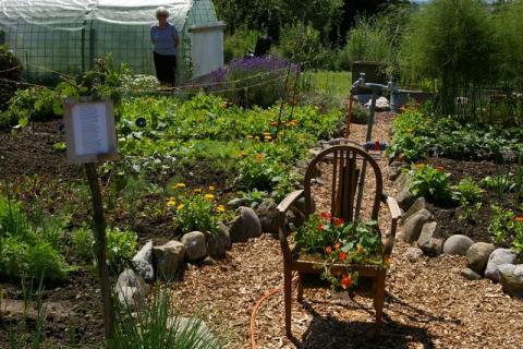 Scheiel-Juni-08--10-