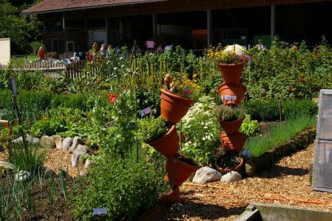 Scheiel-Juni-08--11-