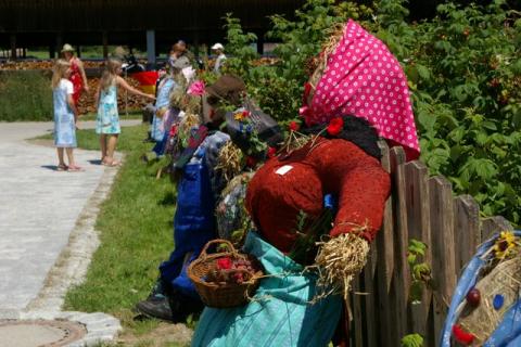 Scheiel-Juni-08--12-