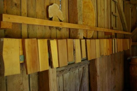 Stp---bermoos-Juni-08--1-