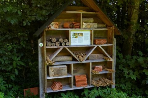 Stp---bermoos-Juni-08--3-