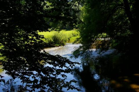 Stp---bermoos-Juni-08--4-