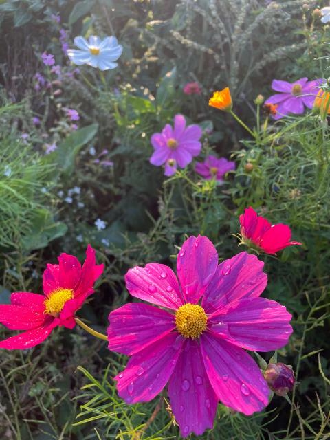 PHOTO-2023-09-07-10-20-11