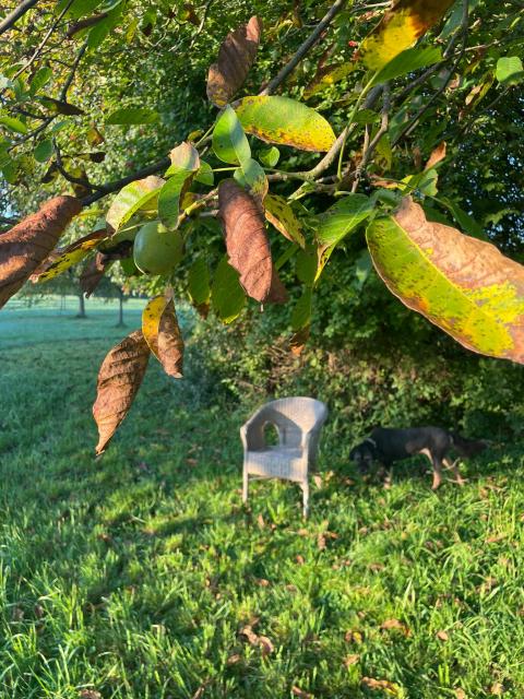 PHOTO-2023-09-07-10-20-13