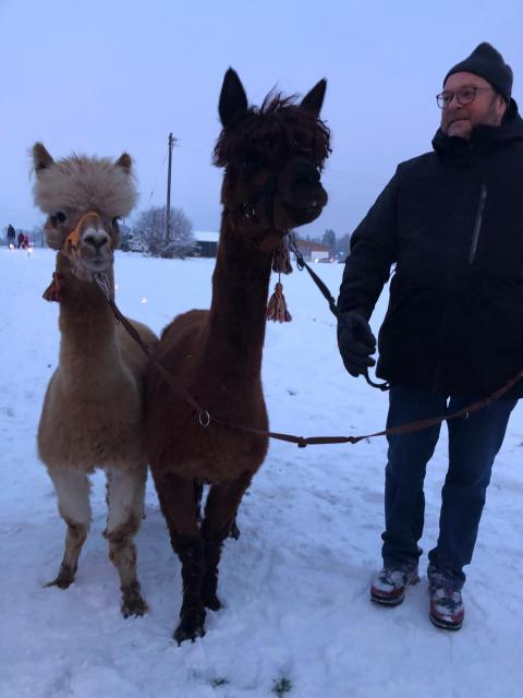 PHOTO-2022-12-18-20-32-58-2