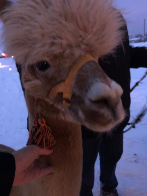 PHOTO-2022-12-18-20-33-01