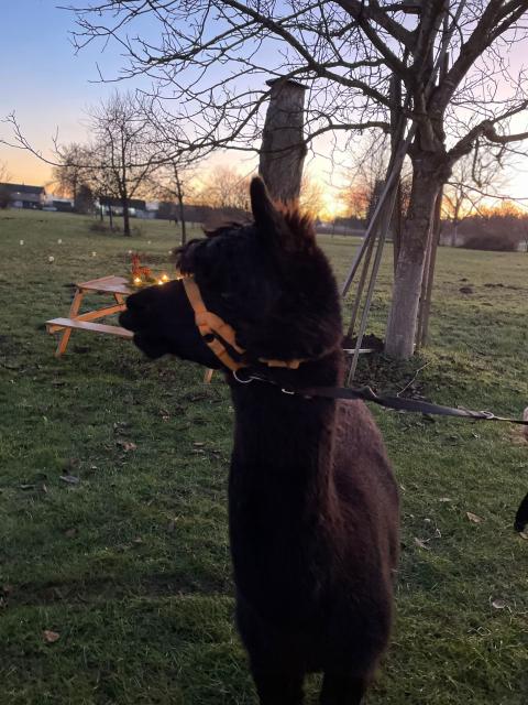 PHOTO-2023-12-17-19-41-10_1