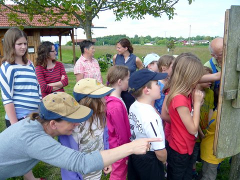Wühlmäuse bei den Bienen 2013
